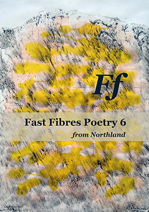 Fast Fibres 6